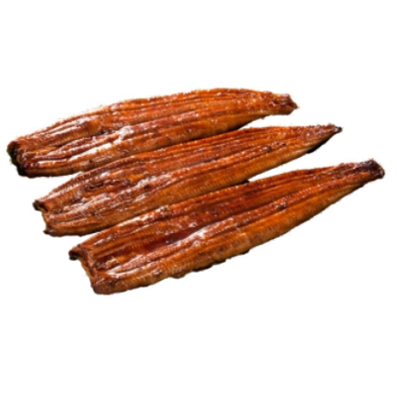 ANGUILA AHUMADA UNAGUI MARECAP