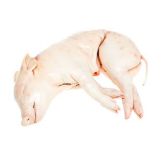 LECHON