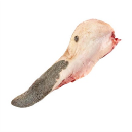 LENGUA DE RES